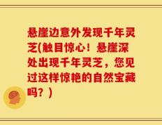 悬崖边意外发现千年灵芝(触目惊心！悬崖深处出现千年灵芝，您见过这样惊艳的自然宝藏吗？)