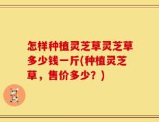 怎样种植灵芝草灵芝草多少钱一斤(种植灵芝草，售价多少？)