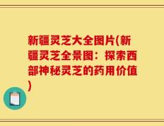 新疆灵芝大全图片(新疆灵芝全景图：探索西部神秘灵芝的药用价值)