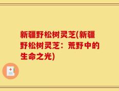 新疆野松树灵芝(新疆野松树灵芝：荒野中的生命之光)