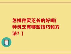 怎样种灵芝长的好呢(种灵芝有哪些技巧和方法？)