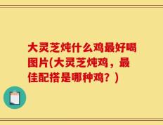 大灵芝炖什么鸡最好喝图片(大灵芝炖鸡，最佳配搭是哪种鸡？)