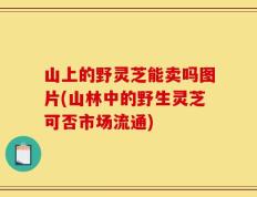 山上的野灵芝能卖吗图片(山林中的野生灵芝可否市场流通)