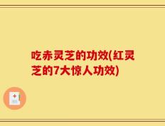 吃赤灵芝的功效(红灵芝的7大惊人功效)