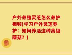 户外养殖灵芝怎么养护视频(学习户外灵芝养护：如何养活这种高级蘑菇？)
