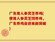 广东用人参灵芝养鸡(使用人参灵芝饲养鸡，广东养鸡业迎来新突破)