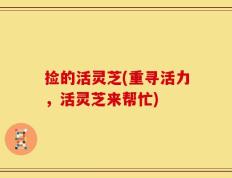 捡的活灵芝(重寻活力，活灵芝来帮忙)