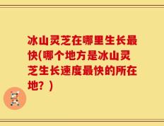 冰山灵芝在哪里生长最快(哪个地方是冰山灵芝生长速度最快的所在地？)