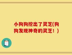 小狗狗挖出了灵芝(狗狗发现神奇的灵芝！)