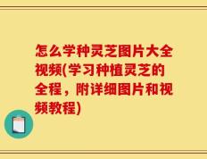 怎么学种灵芝图片大全视频(学习种植灵芝的全程，附详细图片和视频教程)