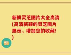 新鲜灵芝图片大全高清(高清新颖的灵芝图片展示，增加您的收藏!)