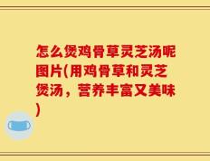 怎么煲鸡骨草灵芝汤呢图片(用鸡骨草和灵芝煲汤，营养丰富又美味)