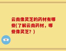 云南像灵芝的药材有哪些(了解云南药材，哪些像灵芝？)