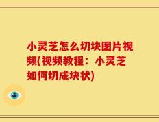 小灵芝怎么切块图片视频(视频教程：小灵芝如何切成块状)