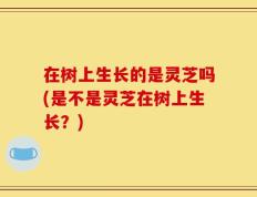 在树上生长的是灵芝吗(是不是灵芝在树上生长？)