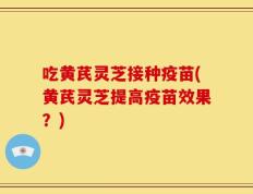 吃黄芪灵芝接种疫苗(黄芪灵芝提高疫苗效果？)