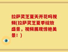 拉萨灵芝夏天开花吗视频(拉萨灵芝夏季绽放盛景，视频展现惊艳美景！)