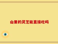 山里的灵芝能直接吃吗