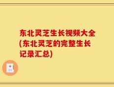 东北灵芝生长视频大全(东北灵芝的完整生长记录汇总)