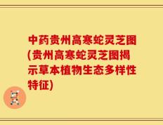 中药贵州高寒蛇灵芝图(贵州高寒蛇灵芝图揭示草本植物生态多样性特征)
