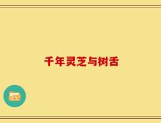 千年灵芝与树舌