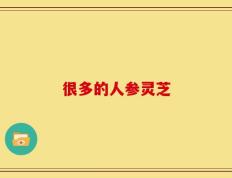 很多的人参灵芝