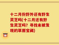 十二月份野外还有野生灵芝吗(十二月还有野生灵芝吗？寻找未被发现的草原宝藏)