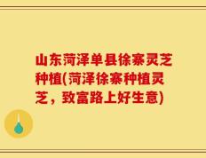 山东菏泽单县徐寨灵芝种植(菏泽徐寨种植灵芝，致富路上好生意)