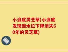 小浪底灵芝草(小浪底发现因水位下降消失60年的灵芝草)