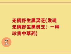 无柄野生黑灵芝(发现无柄野生黑灵芝：一种珍贵中草药)
