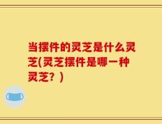 当摆件的灵芝是什么灵芝(灵芝摆件是哪一种灵芝？)