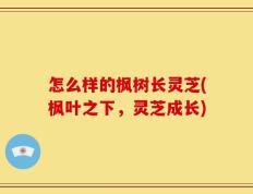 怎么样的枫树长灵芝(枫叶之下，灵芝成长)