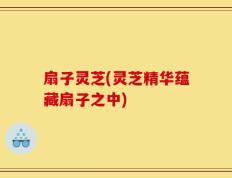 扇子灵芝(灵芝精华蕴藏扇子之中)
