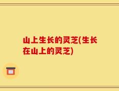 山上生长的灵芝(生长在山上的灵芝)