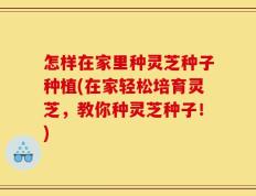 怎样在家里种灵芝种子种植(在家轻松培育灵芝，教你种灵芝种子！)