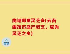 曲靖哪里灵芝多(云南曲靖市盛产灵芝，成为灵芝之乡)