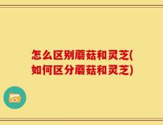 怎么区别蘑菇和灵芝(如何区分蘑菇和灵芝)