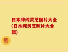 日本牌纯灵芝图片大全(日本纯灵芝照片大合辑)