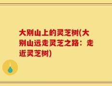 大别山上的灵芝树(大别山远走灵芝之路：走近灵芝树)