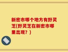 新密市哪个地方有野灵芝(野灵芝在新密市哪里出现？)