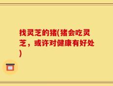 找灵芝的猪(猪会吃灵芝，或许对健康有好处)