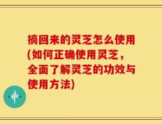 摘回来的灵芝怎么使用(如何正确使用灵芝，全面了解灵芝的功效与使用方法)
