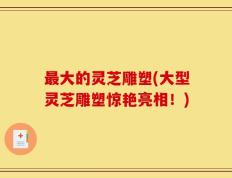 最大的灵芝雕塑(大型灵芝雕塑惊艳亮相！)