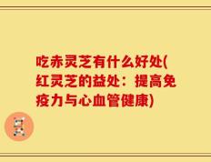 吃赤灵芝有什么好处(红灵芝的益处：提高免疫力与心血管健康)