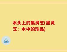 木头上的黑灵芝(黑灵芝：木中的珍品)