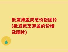 批发薄盖灵芝价格图片(批发灵芝薄盖的价格及图片)
