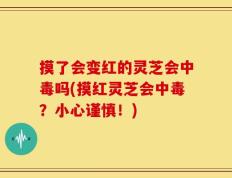 摸了会变红的灵芝会中毒吗(摸红灵芝会中毒？小心谨慎！)