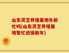 山东灵芝养殖基地年前忙吗(山东灵芝养殖基地繁忙迎接新年)