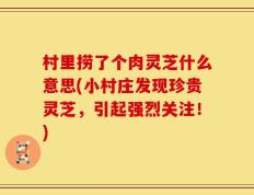 村里捞了个肉灵芝什么意思(小村庄发现珍贵灵芝，引起强烈关注！)
