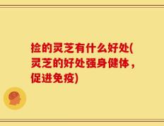 捡的灵芝有什么好处(灵芝的好处强身健体，促进免疫)
